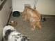 Thumbs/tn_Bild 017.jpg